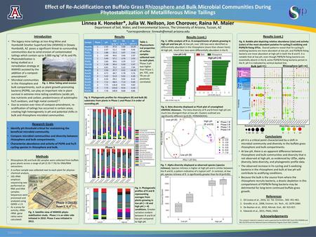 Linnea K. Honeker*, Julia W. Neilson, Jon Chorover, Raina M. Maier