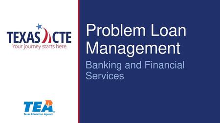 Problem Loan Management