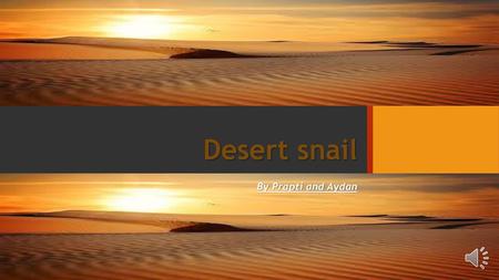 Desert snail By Prapti and Aydan.