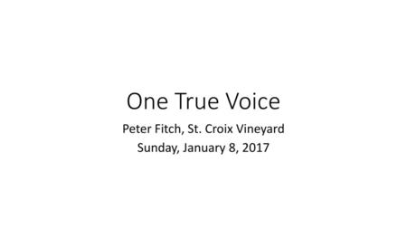 Peter Fitch, St. Croix Vineyard Sunday, January 8, 2017