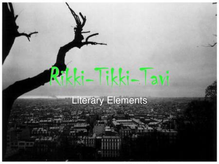 Rikki-Tikki-Tavi Literary Elements.