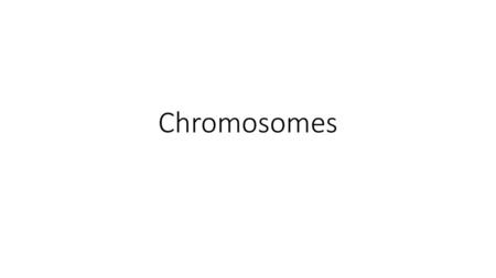 Chromosomes.