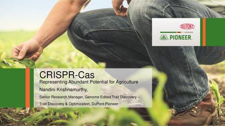 CRISPR-Cas Representing Abundant Potential for Agriculture