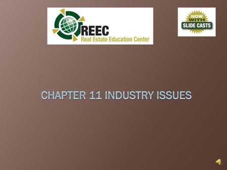 Chapter 11 Industry Issues