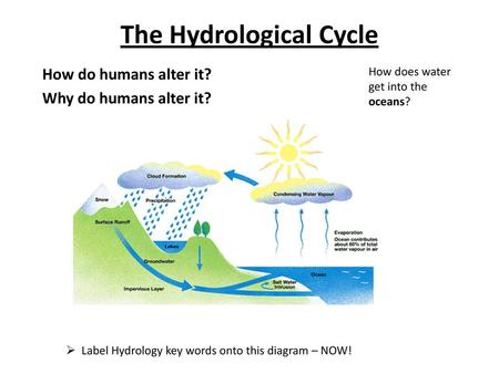 The Hydrological Cycle