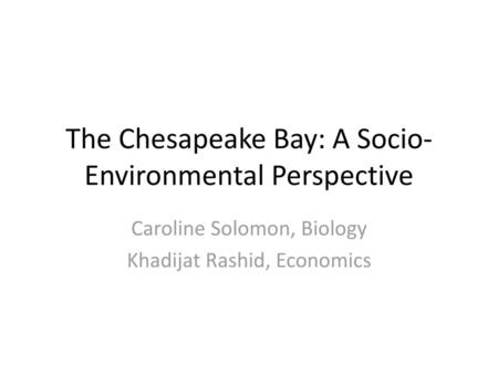 The Chesapeake Bay: A Socio-Environmental Perspective