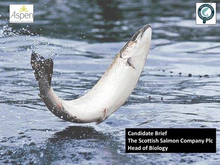 Candidate Brief The Scottish Salmon Company Plc Head of Biology.