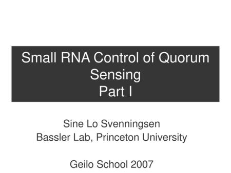 Small RNA Control of Quorum Sensing Part I