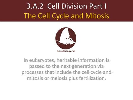 3.A.2 Cell Division Part I The Cell Cycle and Mitosis