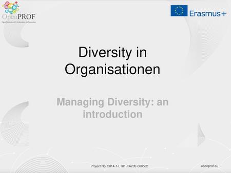 Diversity in Organisationen