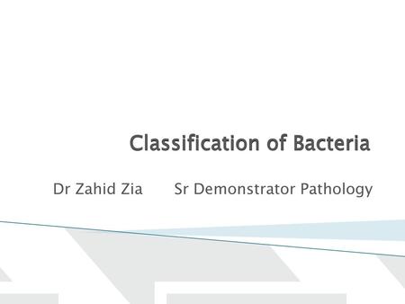 Classification of Bacteria