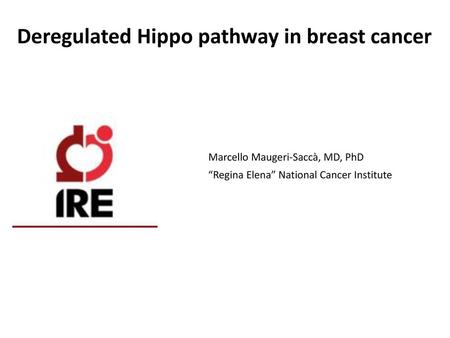 Deregulated Hippo pathway in breast cancer