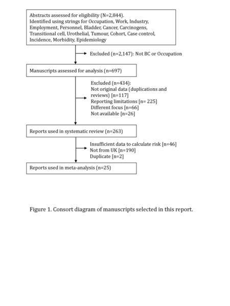 Figure 1. Consort diagram of manuscripts selected in this report.