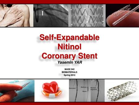 Self-Expandable Nitinol Coronary Stent