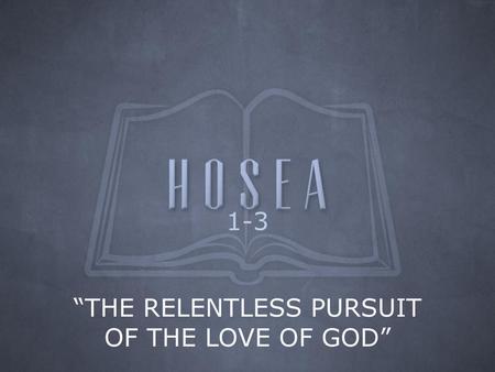 “THE RELENTLESS PURSUIT