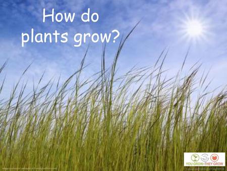 How do  plants grow? A strategic health initiative from Project HOPE UK