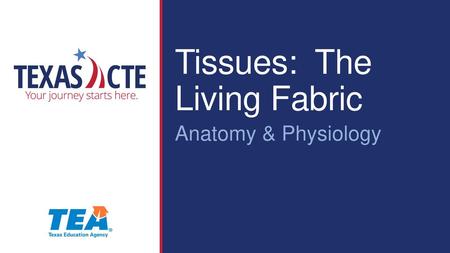 Tissues: The Living Fabric