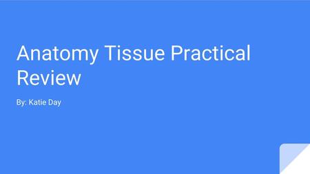 Anatomy Tissue Practical Review