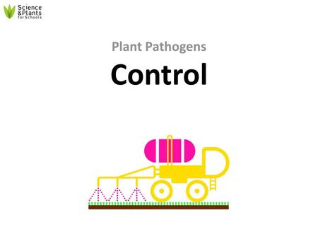 Plant Pathogens Control