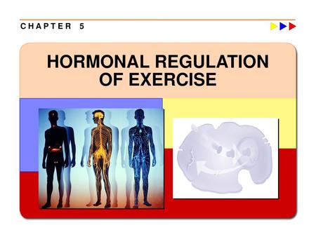 HORMONAL REGULATION OF EXERCISE