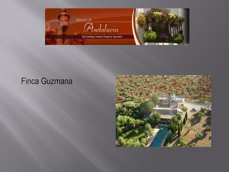 Finca Guzmana.