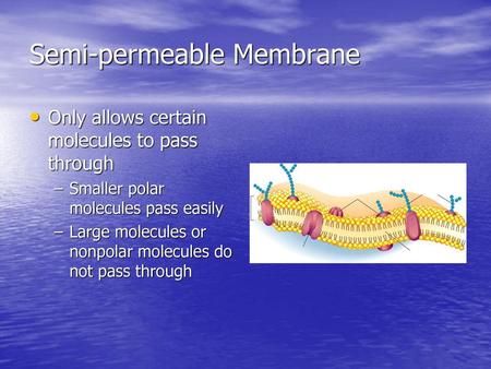 Semi-permeable Membrane