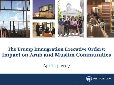 Impact on Arab and Muslim Communities