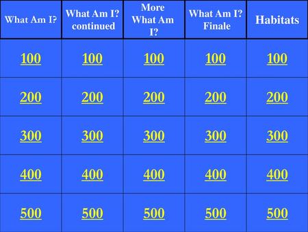 What Am I? What Am I? continued More What Am I? What Am I? Finale