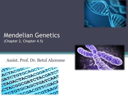 Mendelian Genetics (Chapter 2, Chapter 4.5)