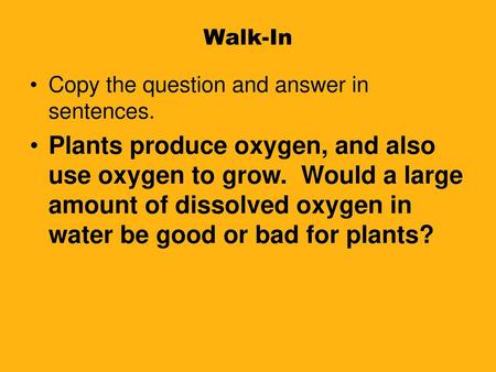 Walk-In Copy the question and answer in sentences.