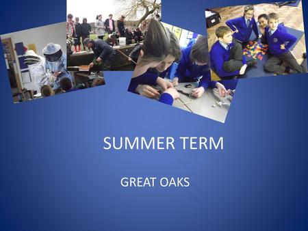 SUMMER TERM GREAT OAKS.