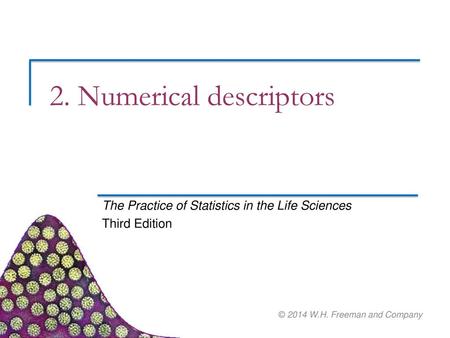 2. Numerical descriptors