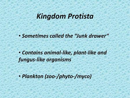 Kingdom Protista Sometimes called the “Junk drawer”