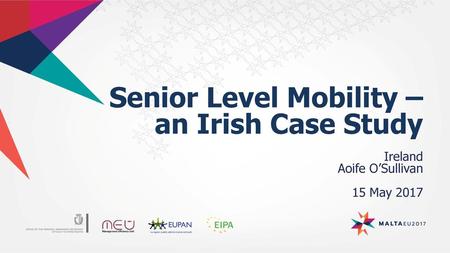 Senior Level Mobility – an Irish Case Study