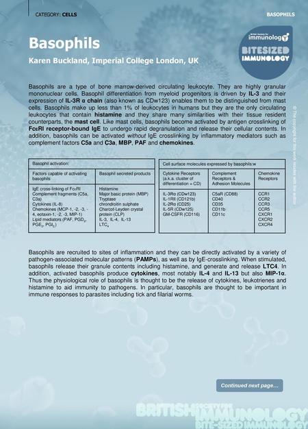 Basophils Karen Buckland, Imperial College London, UK