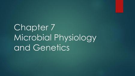 Chapter 7 Microbial Physiology and Genetics