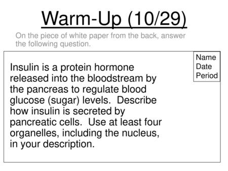 Warm-Up (10/29) On the piece of white paper from the back, answer the following question. Name Date Period Insulin is a protein hormone released into.