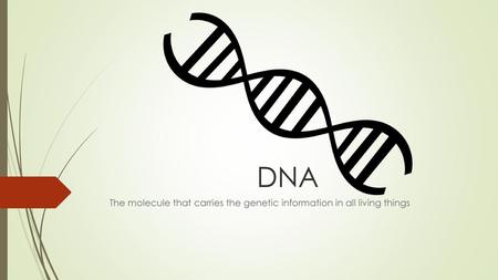 The molecule that carries the genetic information in all living things