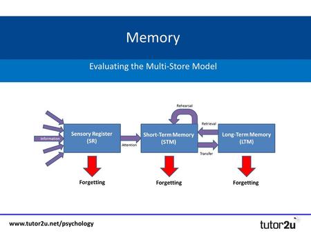 Evaluating the Multi-Store Model