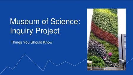 Museum of Science: Inquiry Project