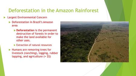 Deforestation in the Amazon Rainforest