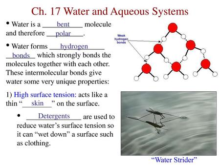 Ch. 17 Water and Aqueous Systems