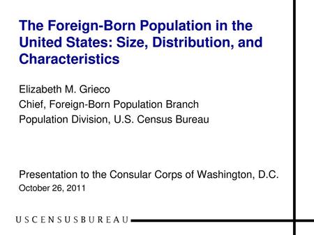 Elizabeth M. Grieco Chief, Foreign-Born Population Branch