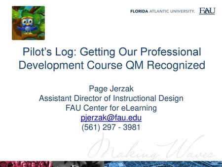 Pilot’s Log: Getting Our Professional Development Course QM Recognized