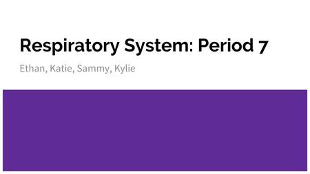 Respiratory System: Period 7