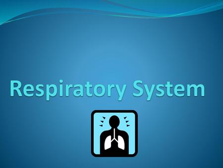 Respiratory System.