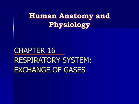 Human Anatomy and Physiology