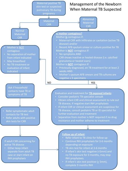 Management of the Newborn When Maternal TB Suspected