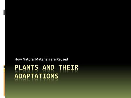 Plants and Their Adaptations