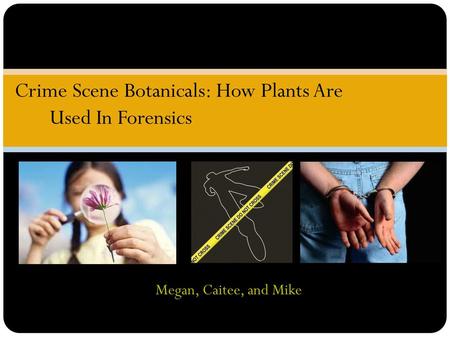 Crime Scene Botanicals: How Plants Are Used In Forensics